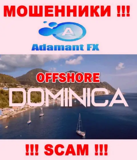 Adamant FX безнаказанно лишают денег, ведь обосновались на территории - Доминика
