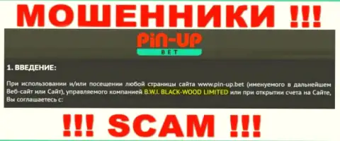 Юридическое лицо конторы PinUpBet - это B.W.I. BLACK-WOOD LIMITED, информация позаимствована с сайта