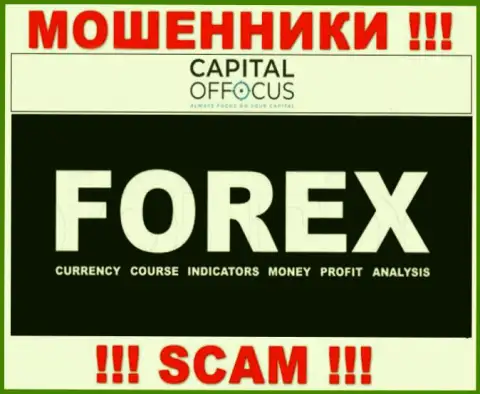 С конторой CapitalOfFocus связываться нельзя, их сфера деятельности Форекс - это ловушка