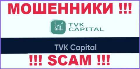 TVK Capital - это юридическое лицо мошенников TVK Capital
