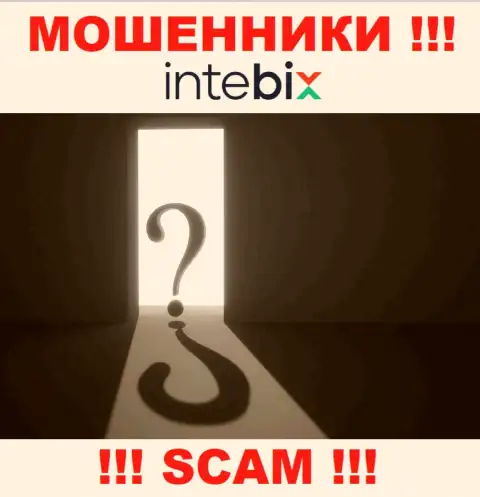 Берегитесь совместной работы с internet аферистами Intebix - нет информации об юридическом адресе регистрации
