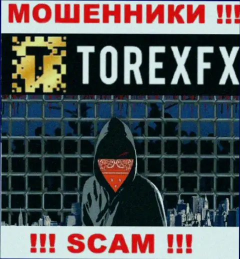 TorexFX 42 Marketing Limited не разглашают данные о Администрации конторы