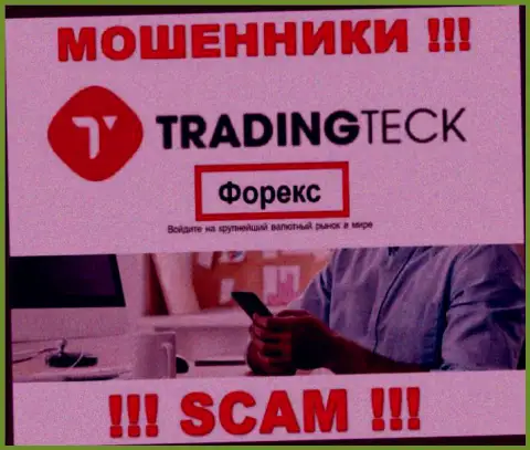 Работать совместно с TradingTeck весьма рискованно, поскольку их вид деятельности Форекс  - это кидалово