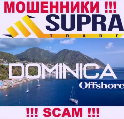 Организация Supra Trade прикарманивает вложенные денежные средства людей, расположившись в офшоре - Dominica