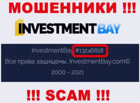 Номер регистрации, под которым зарегистрирована компания Investment Bay: 13246818