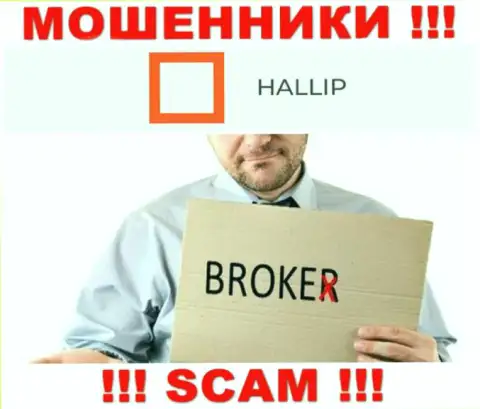 Сфера деятельности интернет воров Hallip - это Broker, однако знайте это кидалово !!!