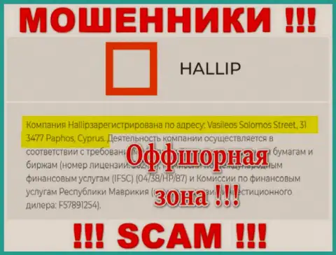 Постарайтесь держаться подальше от офшорных internet-мошенников Hallip !!! Их адрес - Vasileos Solomos Street, 31 3477 Paphos, Cyprus