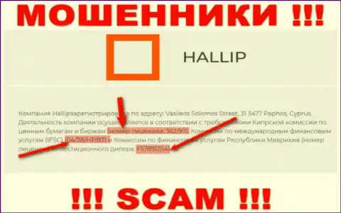 Не имейте дело с мошенниками Hallip - существованием лицензии, на web-сайте, завлекают доверчивых людей