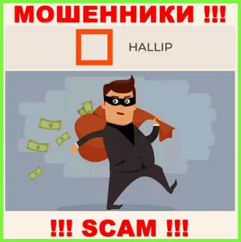 Имея дело с дилинговой компанией Hallip вы не получите ни рубля - не отправляйте дополнительные средства