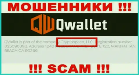 На официальном web-сайте Q Wallet написано, что данной компанией владеет Cryptospace LLC