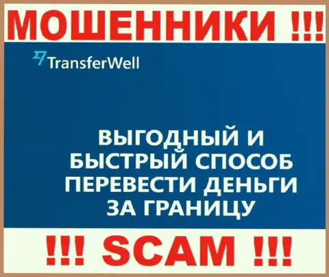 Не стоит верить, что деятельность TransferWell в сфере Платежная система легальна