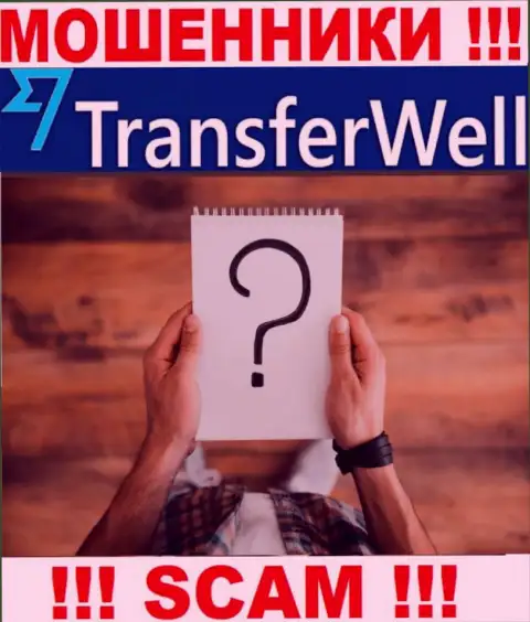 О лицах, управляющих конторой TransferWell Net ничего не известно