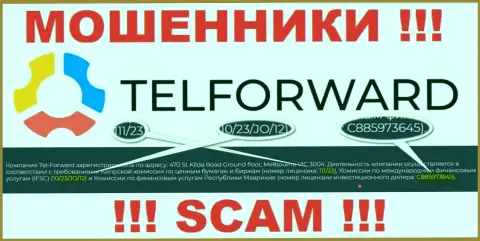 На сайте TelForward имеется лицензионный номер, но это не отменяет их мошенническую суть