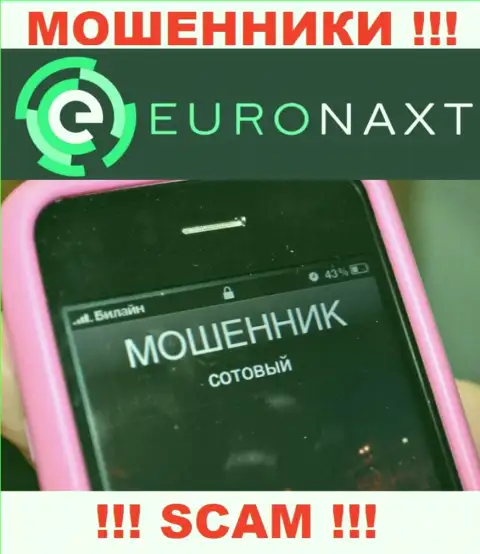 Вас пытаются развести на деньги, EuroNax в поисках очередных наивных людей