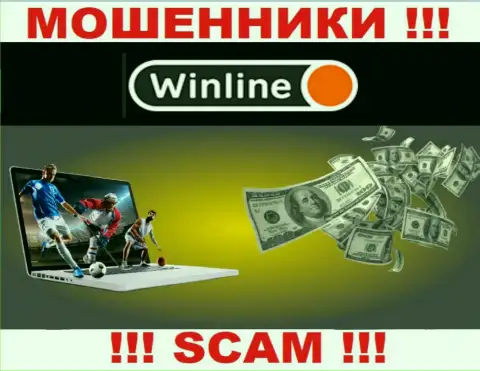 Будьте очень бдительны !!! WinLine Ru - это однозначно мошенники !!! Их деятельность неправомерна