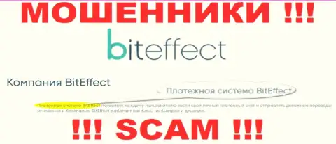 Осторожнее, направление деятельности BitEffect Net, Платежная система - это надувательство !