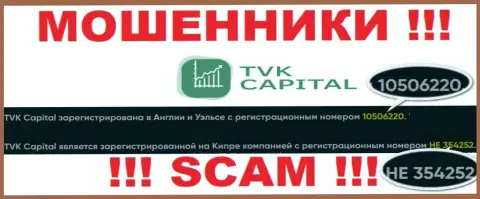 Будьте очень бдительны, присутствие номера регистрации у организации TVK Capital (10506220) может быть приманкой