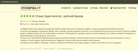 Ещё один реальный отзыв о FOREX-организации Cauvo Capital на сайте Otzovichka Ru