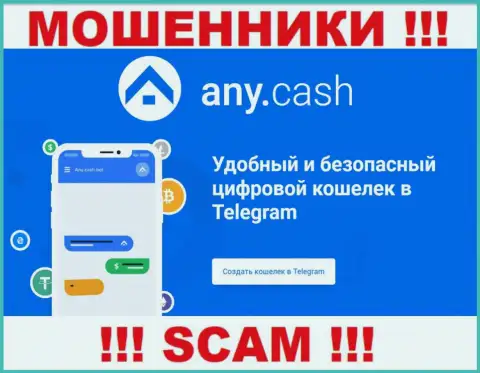 AnyCash - это мошенники, их деятельность - Криптовалютный кошелек, нацелена на кражу депозитов наивных клиентов