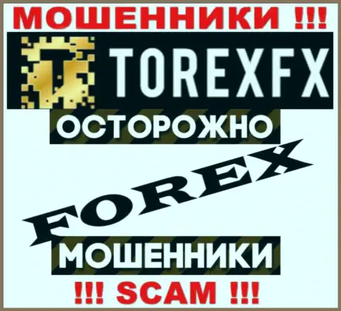 Тип деятельности Torex FX: FOREX - хороший доход для интернет-мошенников